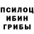 Псилоцибиновые грибы ЛСД vansz