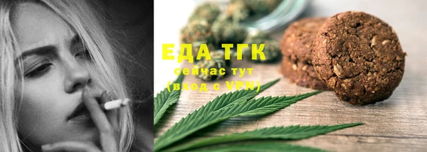 индика Коряжма