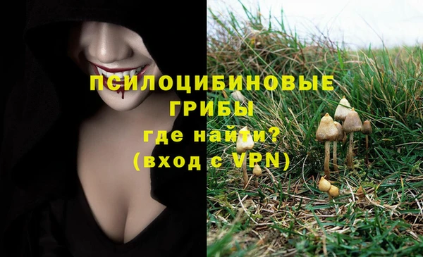MDMA Premium VHQ Кодинск