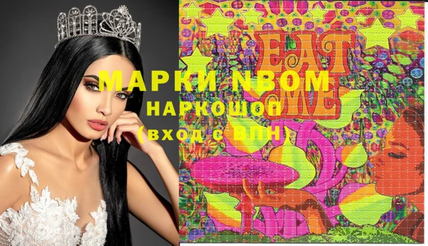 индика Коряжма