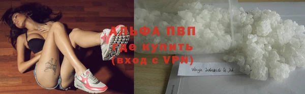 ешки Козельск