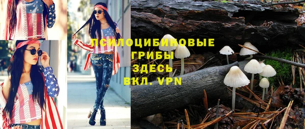 таблы Козловка