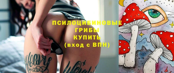таблы Козловка